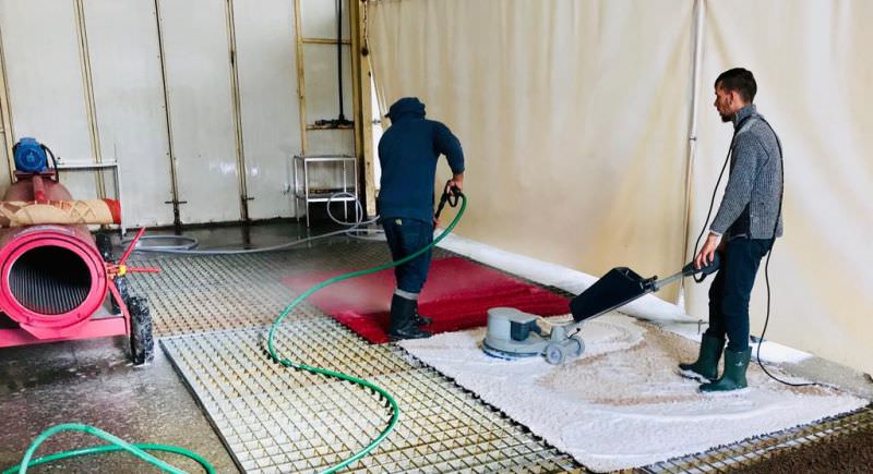 covoare impecabile și parfumate fără efort - la clean carpet în șelimbăr