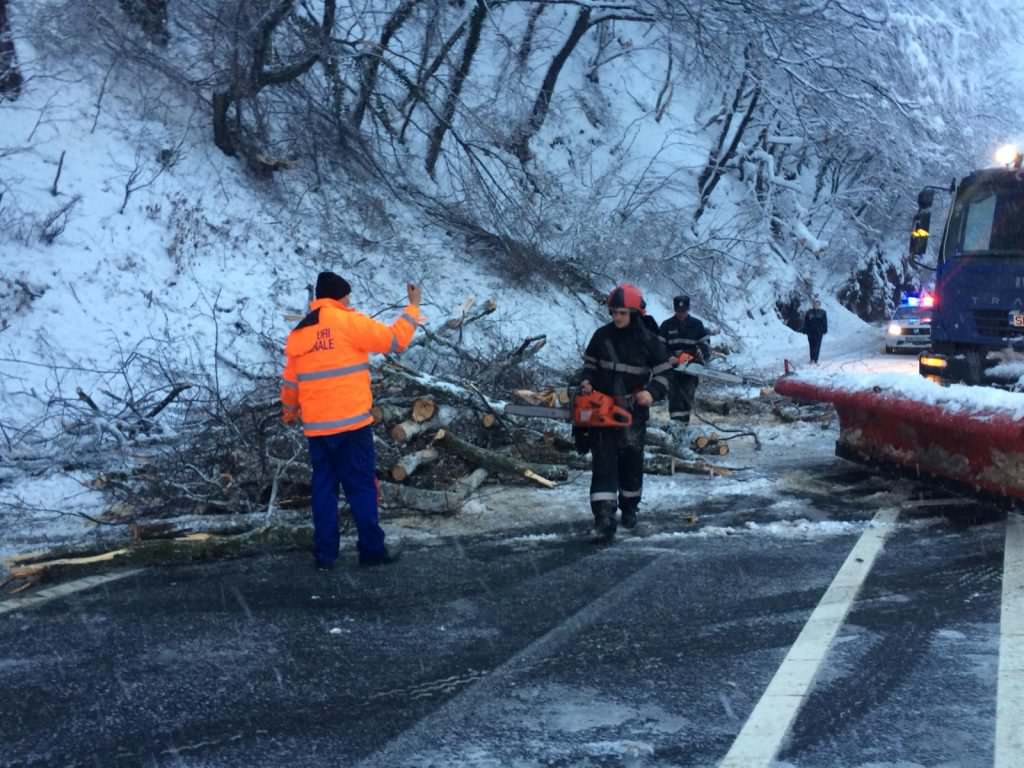 Alți copaci căzuți pe carosabil, pe Valea Oltului, în zona Lazaret