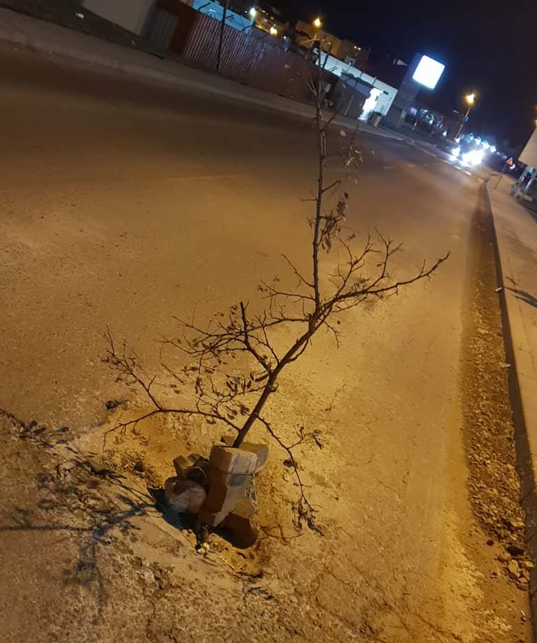 foto groapă uriașă pe strada doamna stanca din șelimbăr - ce idee au avut câțiva tineri