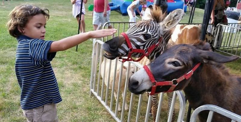 la zoo sibiu se amenajează ferma animalelor, locul în care copiii pot atinge animalele