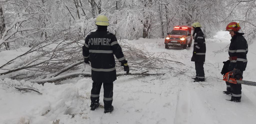 FOTO - Drumuri blocate de copaci căzuți în județul Sibiu