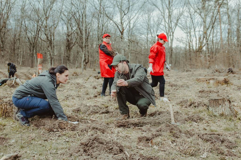 foto acțiune de împădurire a sibiului – și tu te poți implica!