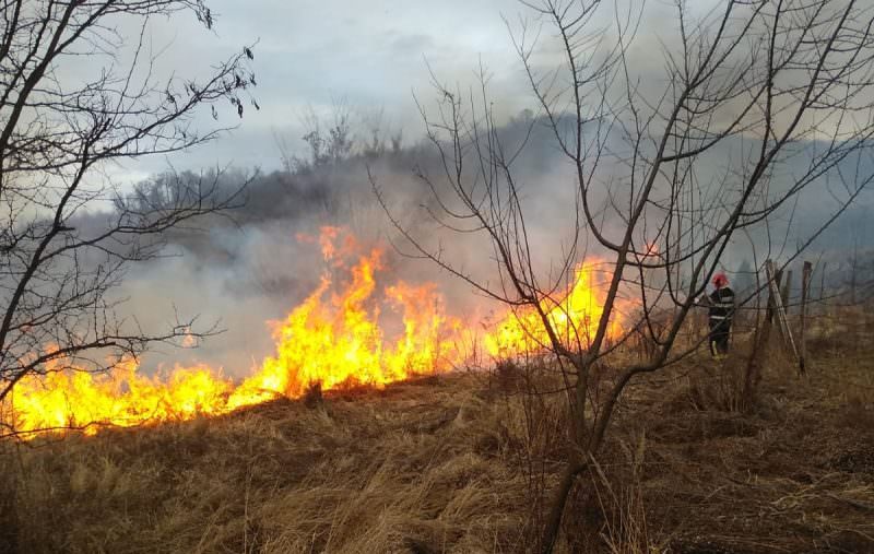 foto a ars câmpul la mediaș. hectare de vegetație distruse