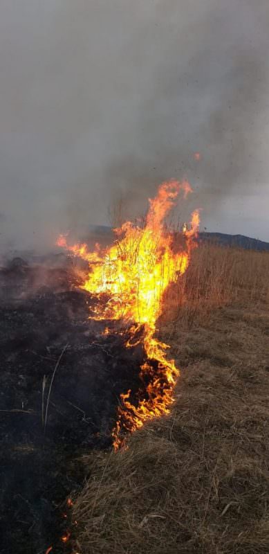 FOTO Incendiu de vegetație între Apoldu de Jos și Apoldu de Sus