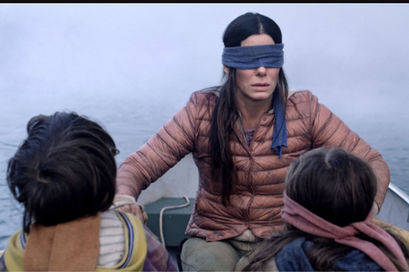 cadre din celebrul bird box- cenzurate de netflix