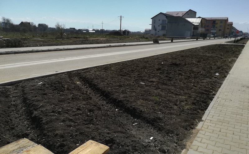 video - zeci de de tuia furați de hoți de pe strada pictor brana la șelimbăr