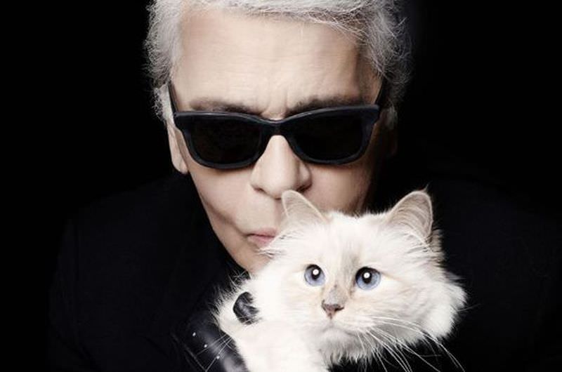 cine are grijă de choupette, pisica moștenitoare a lui karl lagerfeld