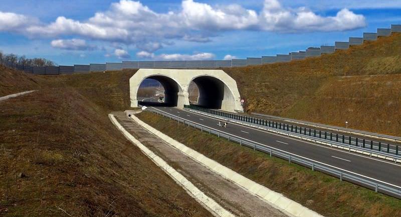 video autostrada sibiu - pitești va avea unele din primele ecoducte din românia