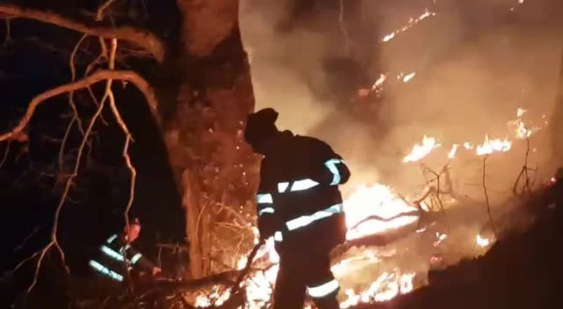 incendiu puternic în munții lotrului - pompierii se luptă cu flăcările de peste 24 de ore