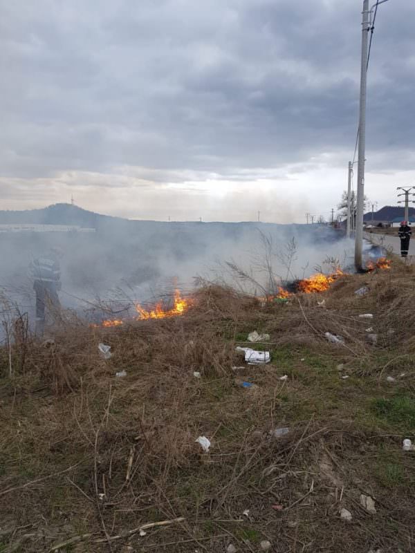 FOTO Incendiu de vegetație la Mediaș pe strada Gării