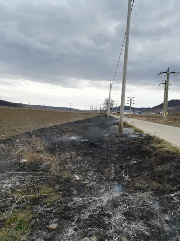 FOTO Incendiu de vegetație la Mediaș pe strada Gării