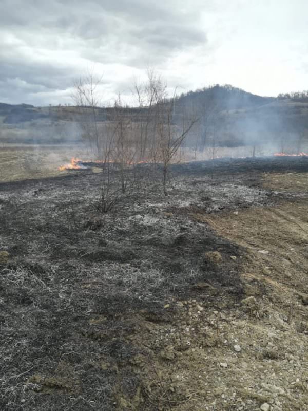 FOTO Incendiu de vegetație la Mediaș pe strada Gării