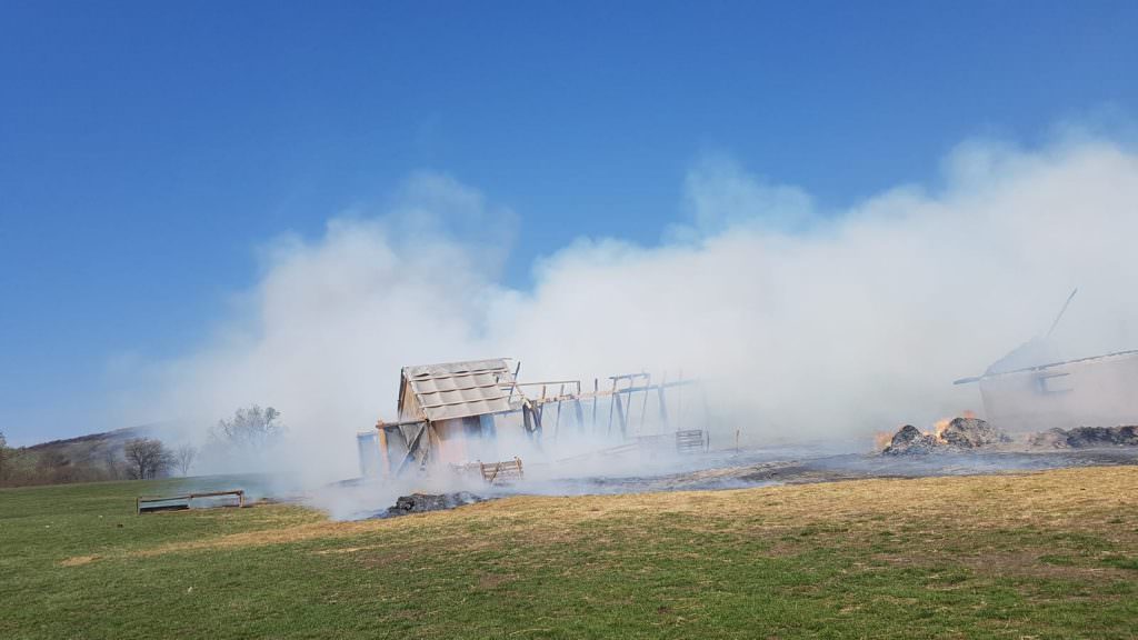 foto incendiu la o stână din șura mare