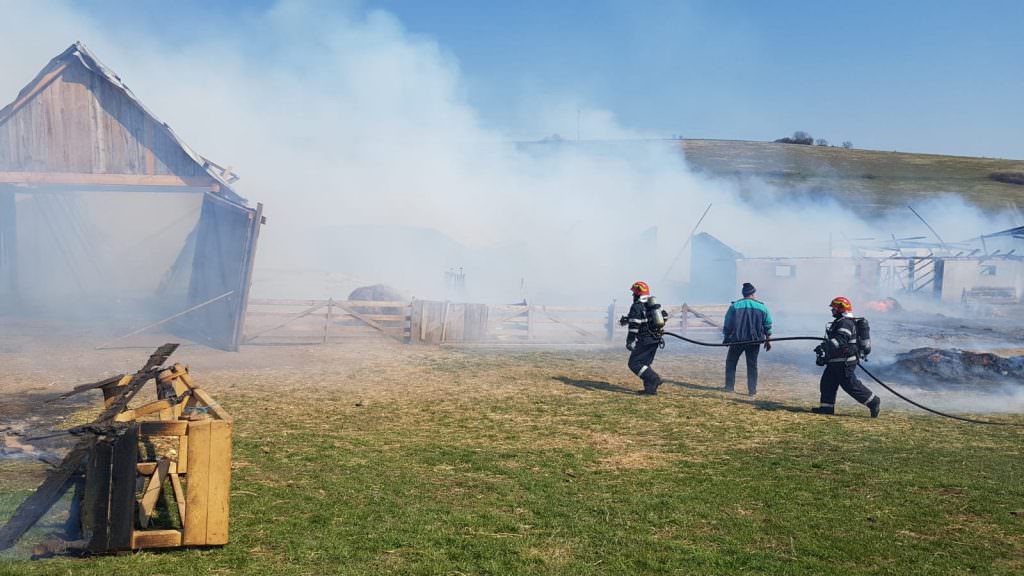 foto incendiu la o stână din șura mare