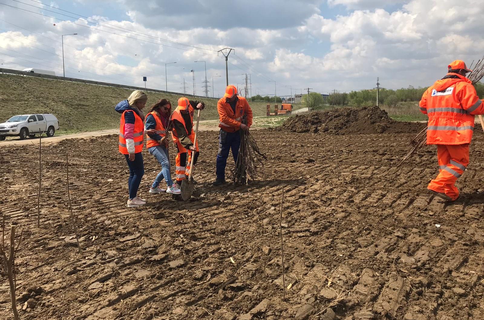 FOTO Zeci de tone de gunoaie aruncate la ieșirea de pe autostrada Sebeș - Sibiu spre Agnita