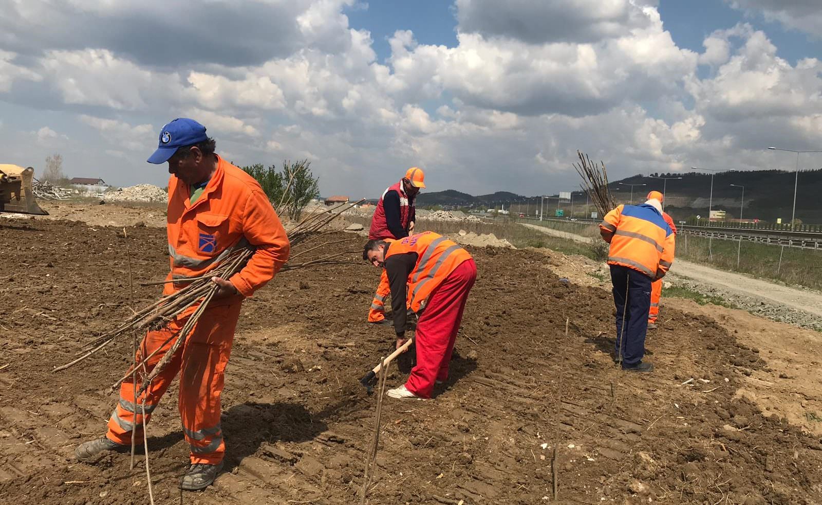 FOTO Zeci de tone de gunoaie aruncate la ieșirea de pe autostrada Sebeș - Sibiu spre Agnita