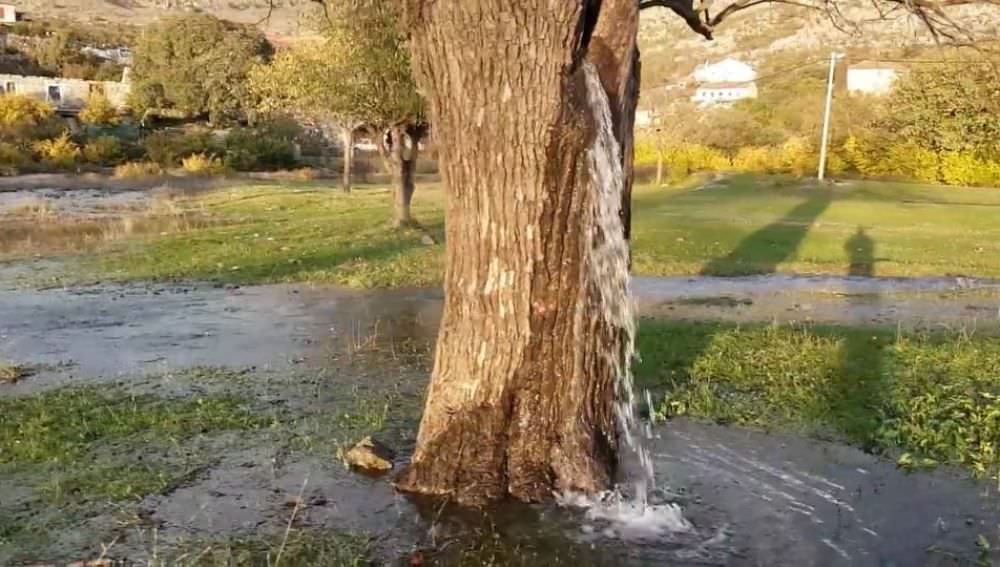 fenomene curioase: dudul cascadă din muntenegru