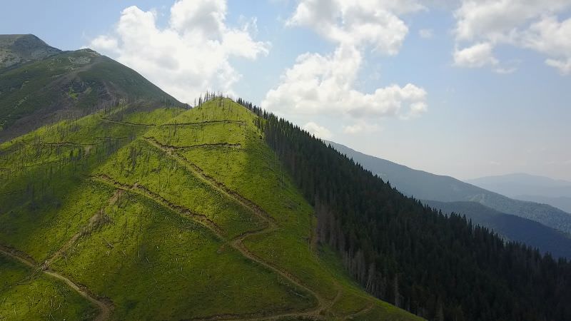 cea mai afectată țară din uniunea europeană de incendiile de pădure este românia