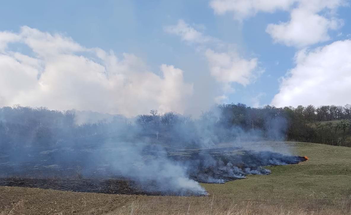 foto - incendii la o casă în turnișor și pe un câmp la chirpăr