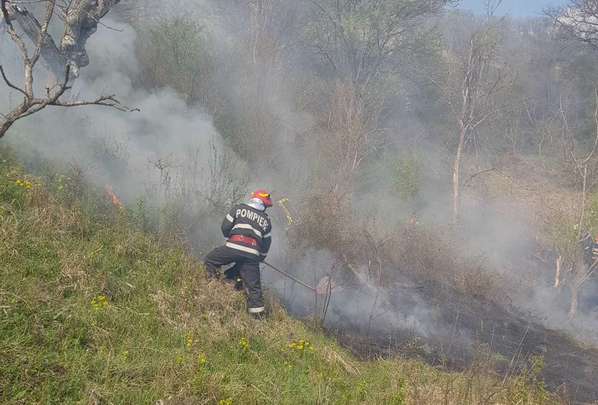 foto - incendii la o casă în turnișor și pe un câmp la chirpăr