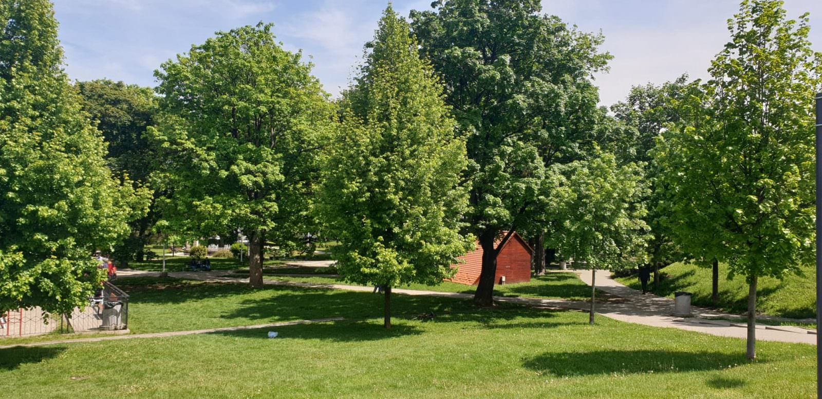 foto sesiuni de yoga la festivalul vino în parcul tineretului