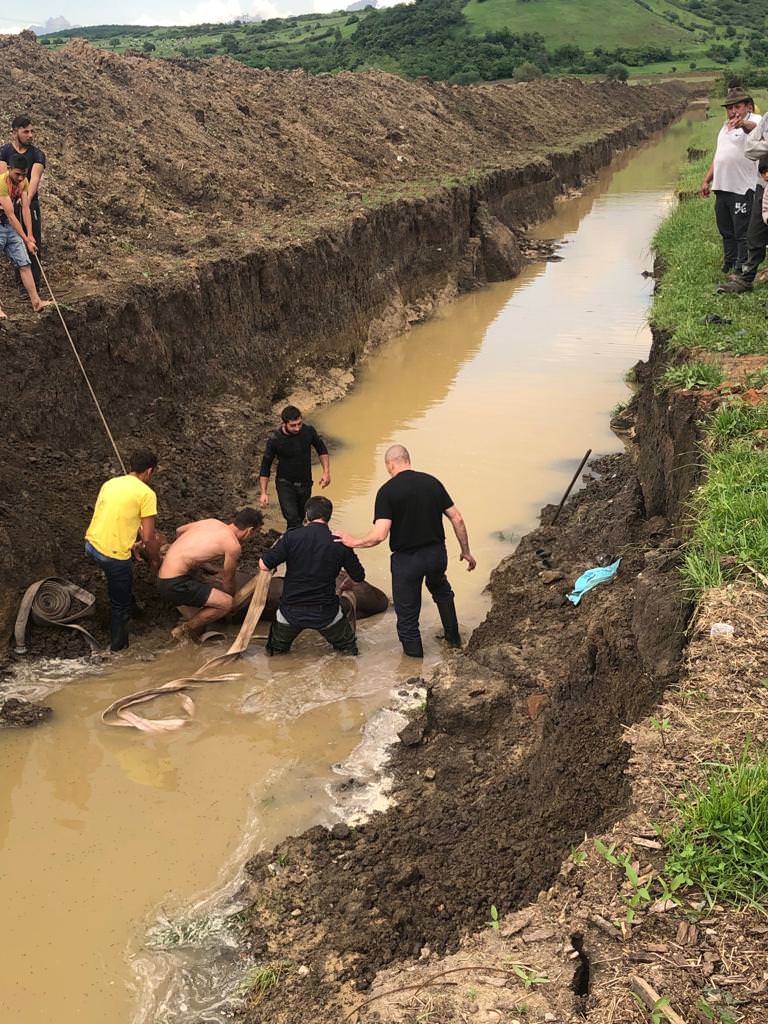 foto - cal salvat de pompieri după ce a căzut într-un canal de trei metri adâncime