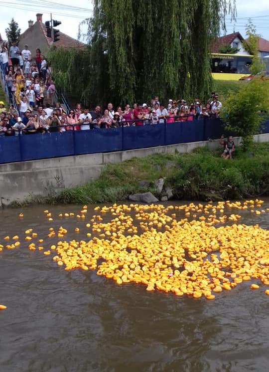 VIDEO - Cel mai frumos eveniment al începutului de iunie - Cursa de rățuște s-a ’’consumat’’ la Sibiu