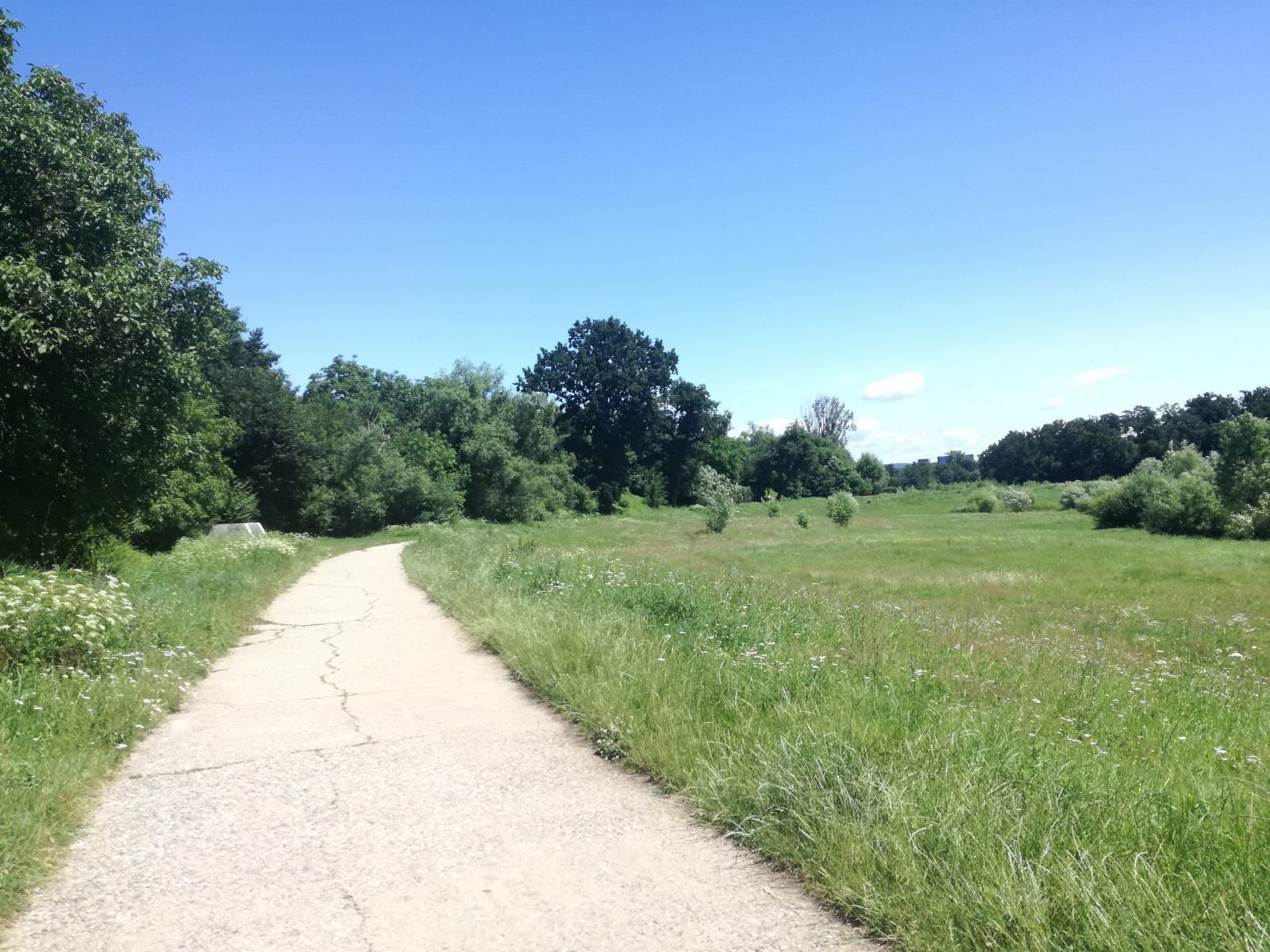 FOTO Liniște și pace în parcul Sub Arini înspre Zoo - Sibienii nu au văzut niciun urs