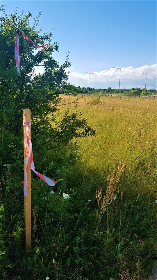 foto - primii pași concreți ai autostrăzii sibiu - pitești. dovada că încep să se miște lucrurile