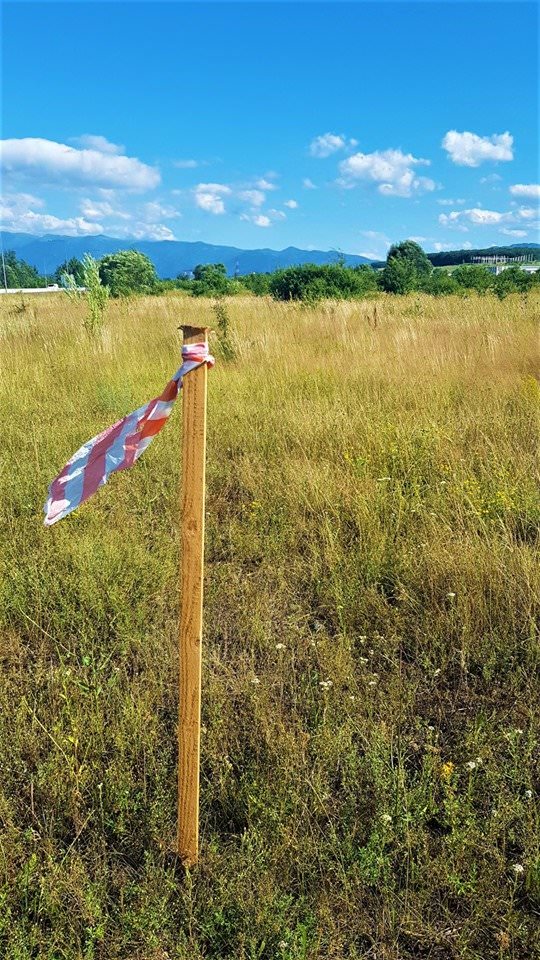 foto - primii pași concreți ai autostrăzii sibiu - pitești. dovada că încep să se miște lucrurile