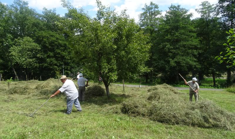 Atelier de cosit în Muzeul ASTRA - Descoperiți cum se mânuiește coasa