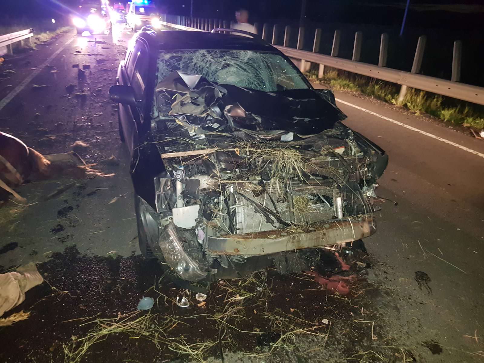 update video foto - accident grav pe dn14 - căruță lovită de o mașină - cinci răniți și un cal mort