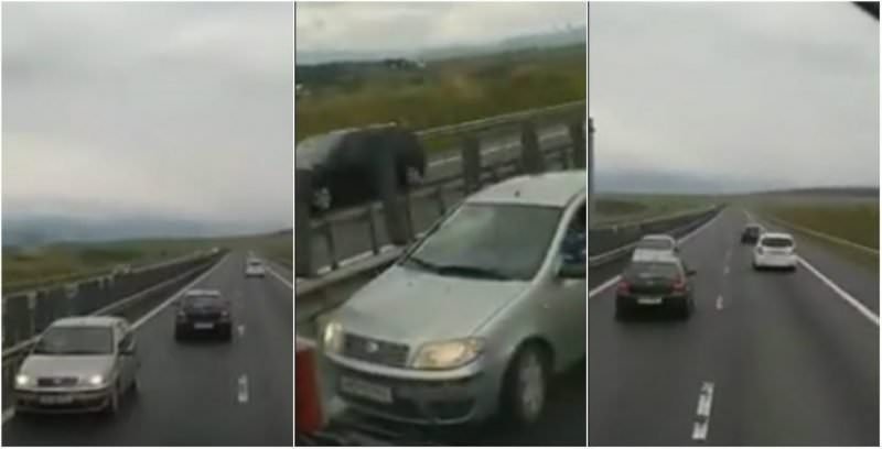 video - șofer pe contrasens pe autostrada sibiu - sebeș. tir-iștii l-au făcut să întoarcă