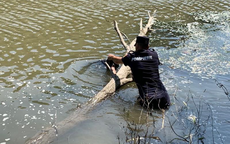 update foto persoană înecată în olt - pompierii au găsit-o