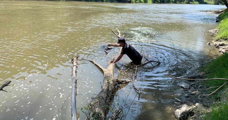 update foto persoană înecată în olt - pompierii au găsit-o