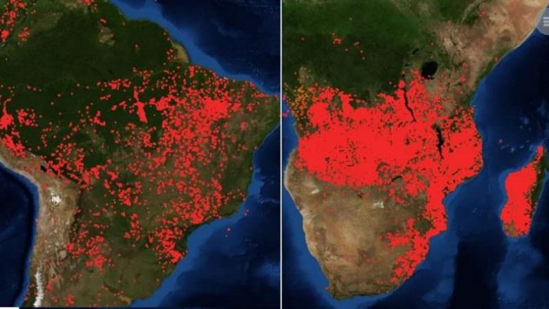 imagini înfricoșătoare cu incendiile din amazon și africa