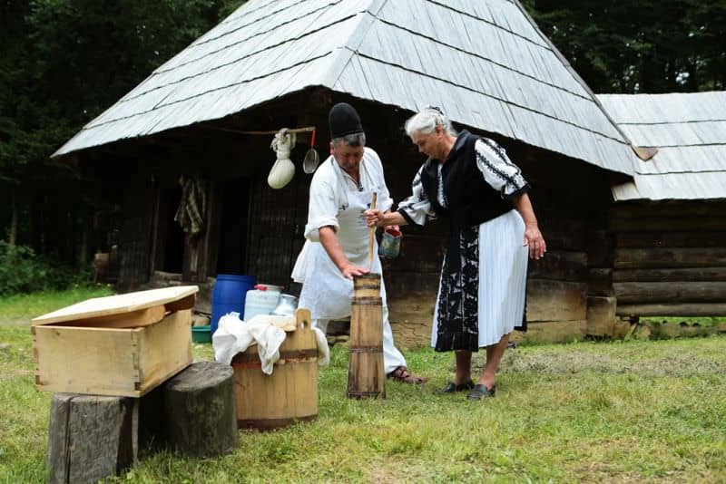 cocoloș ca la stână, duminică, în muzeul din dumbrava