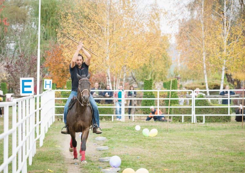 trei zile până la dracula horse festival la domeniul dracula daneș - program