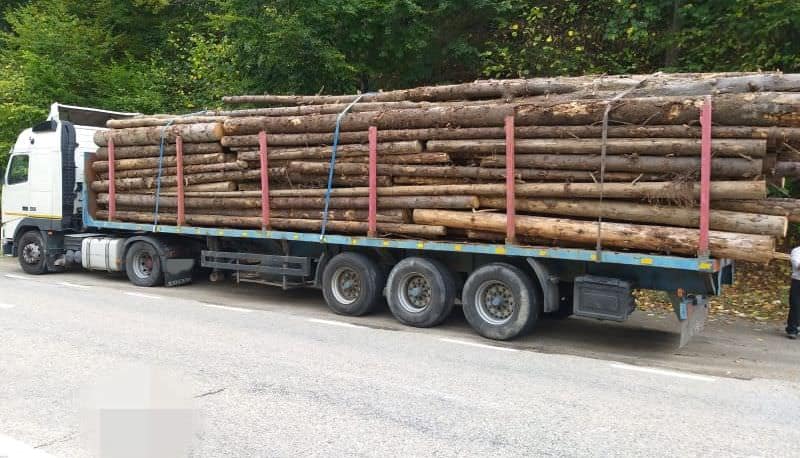 foto hoți de lemne prinși pe valea oltului, la călimănești și brezoi