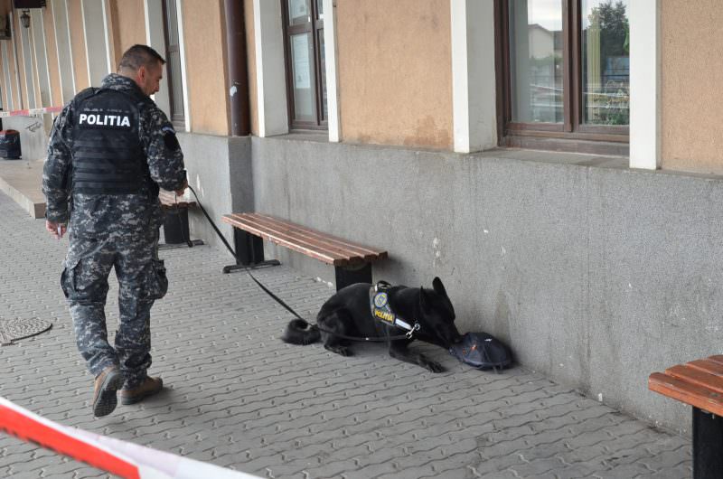 foto gara din sibiu împânzită de polițiști și câini – ce s-a întâmplat