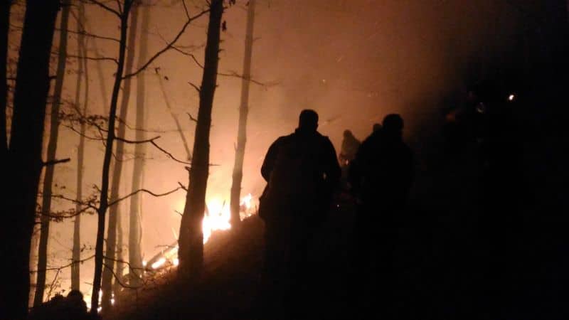 VIDEO FOTO Incendiu în pădurea Măgura, lângă Cisnădie