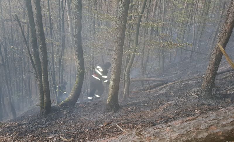 video foto - incendiul de pădure din cisnădie s-a reaprins - zeci de pompieri la fața locului