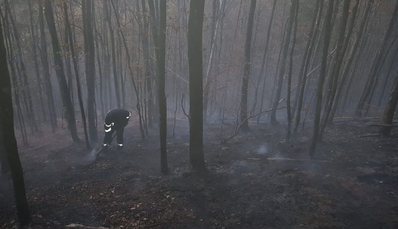 video foto - incendiul de pădure din cisnădie s-a reaprins - zeci de pompieri la fața locului