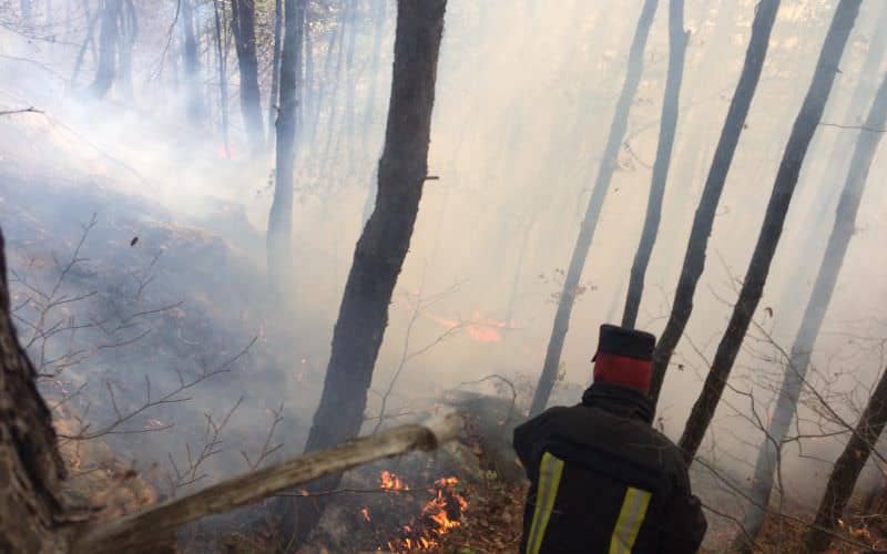 ajutor divin pentru stingerea incendiului de pe măgura - ploaia a oprit flăcările