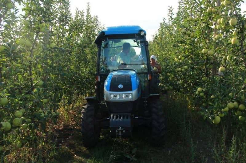 accident într-o livadă din dobârca - femeie lovită de un tractor