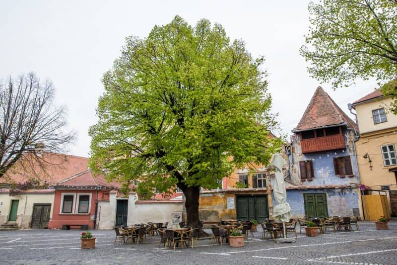 sub 400 de cazuri noi covid în românia - la sibiu sunt 12