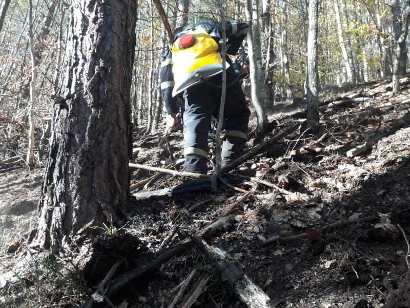 update foto s-a reaprins incendiul de pădure de la măgura - pompierii intervin de urgență