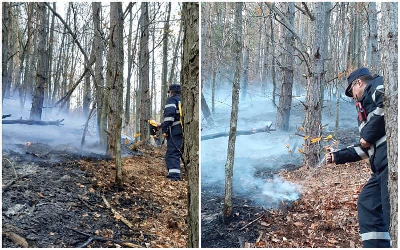 foto mobilizare de forțe în pădurea de la măgura - incendiul a fost lichidat