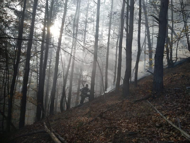 foto pompierii sibieni în alertă - s-a reaprins incendiul de pădure de la măgura