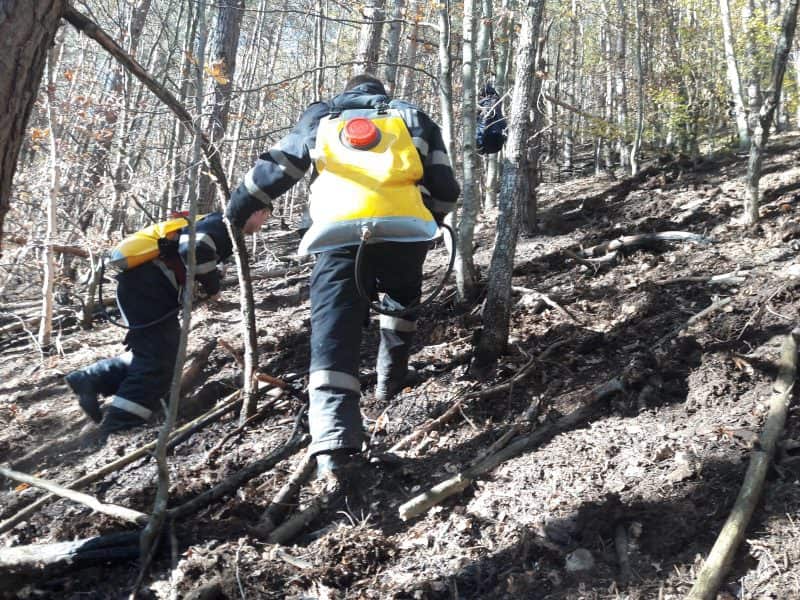 update foto s-a reaprins incendiul de pădure de la măgura - pompierii intervin de urgență